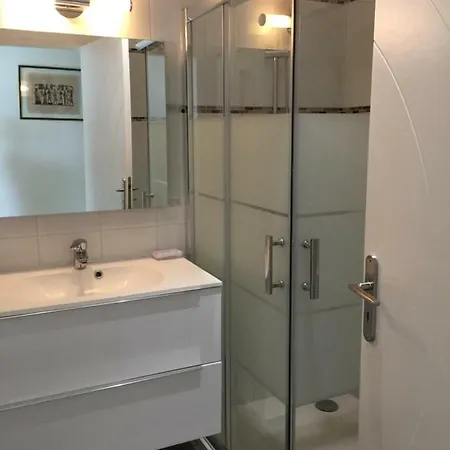 Vizzavona Piscine Et Jacuzzi アジャクシオ