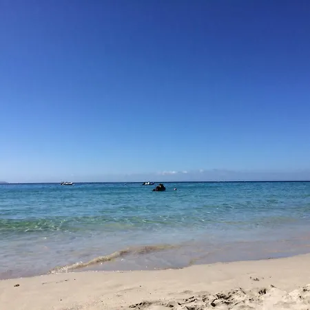 Vizzavona Piscine Et Jacuzzi * 阿雅克肖