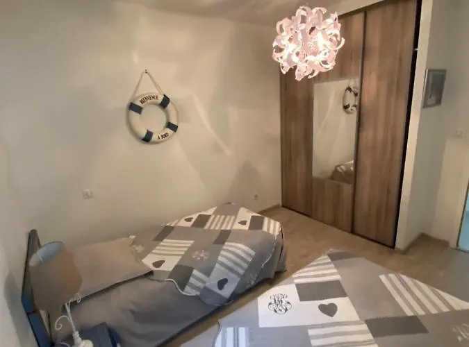 Vizzavona Piscine Et Jacuzzi * 阿雅克肖