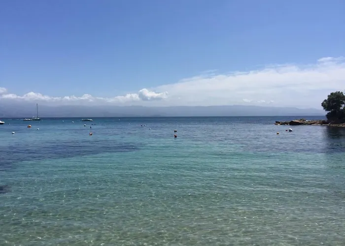 Vizzavona Piscine Et Jacuzzi * 阿雅克肖